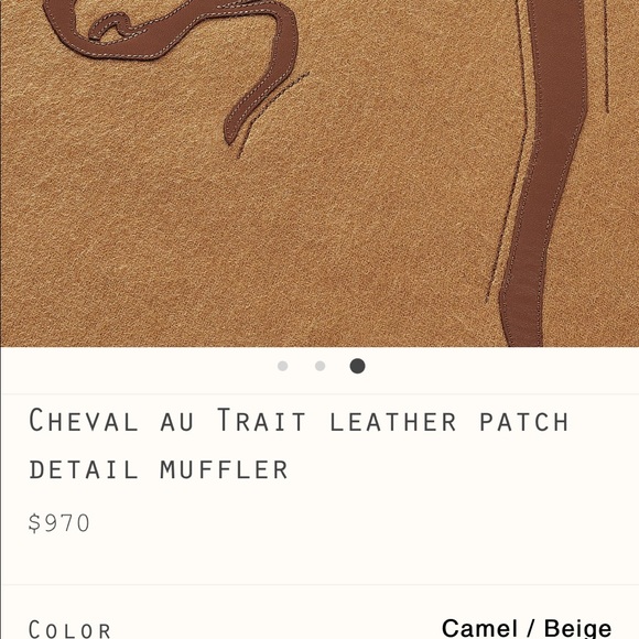 100% Authentic Hermes Cashmere Scarf Sold Out Online - Picture 8 of 16